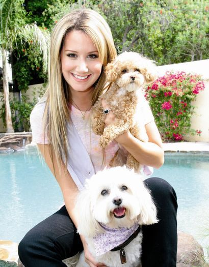 26279553_VRJRQTBLU - poze Ashly Tisdale