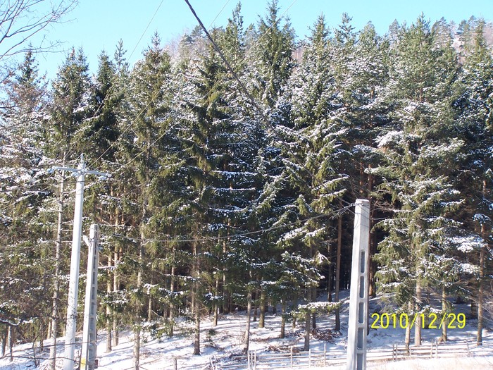 peisaje 2010 BISOCA 024 - PEISAJE BISOCA -BUZAU