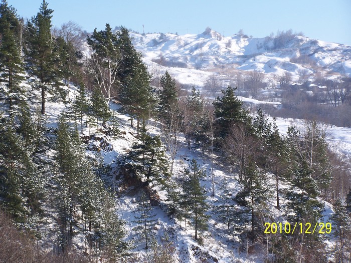 peisaje 2010 BISOCA 028 - PEISAJE BISOCA -BUZAU