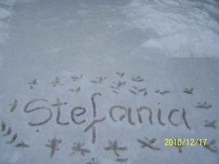 peisaje 2010 BISOCA 070 - PEISAJE BISOCA -BUZAU