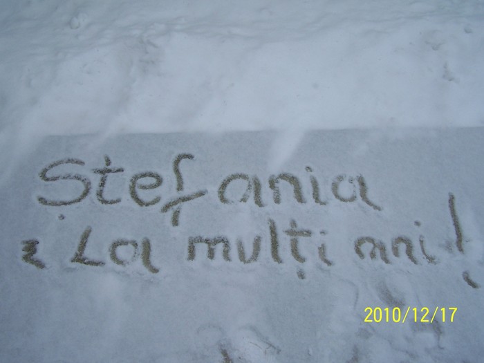 peisaje 2010 BISOCA 071