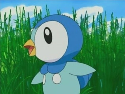 73 - Pokemon Piplup