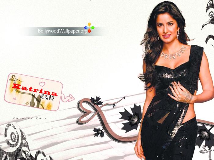 Katrina-Kaif-Wallpaper-077_1024x768