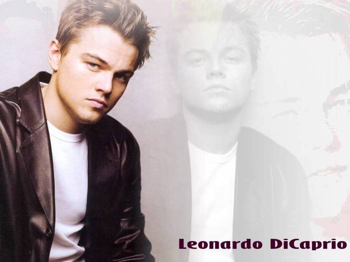 Leo (17)