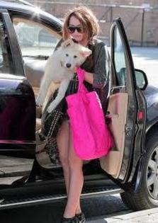 come - poze cu miley