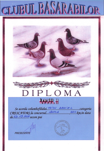 diploma 3 - Premi 2010 cu puii