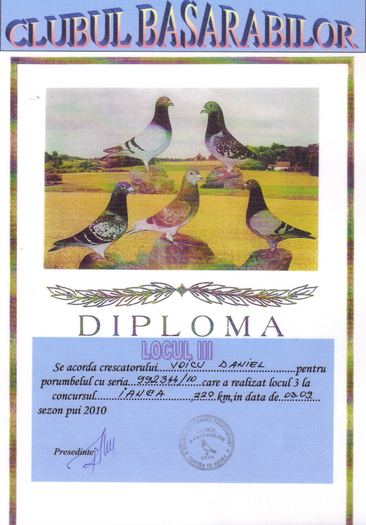 diploma 1