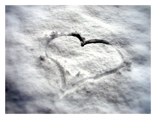 love-in-winter - Iarna