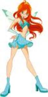 k - bloom winx