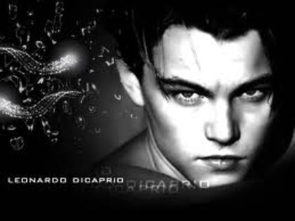 images - Lonardo Di Caprio