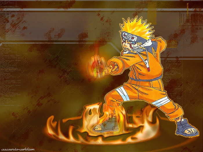 Naruto (17)
