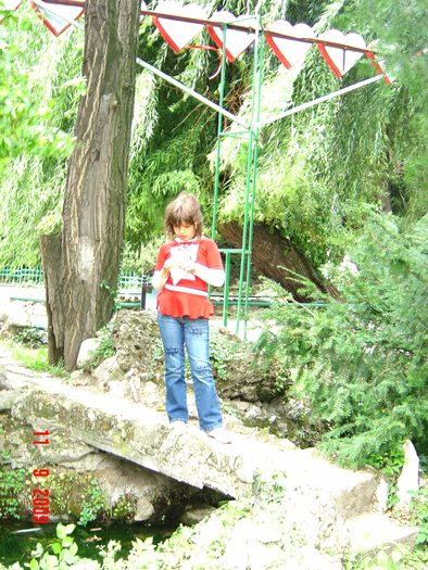 Picture 028 - In natura