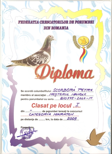 scan0036 - DIPLOME CU MATURI 2009