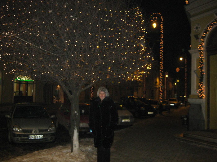in fata primariei Sf-Gheorghe - revelion 2011-romania
