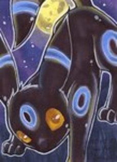 poza ta preferata! - Album pentru Umbreon SHINY