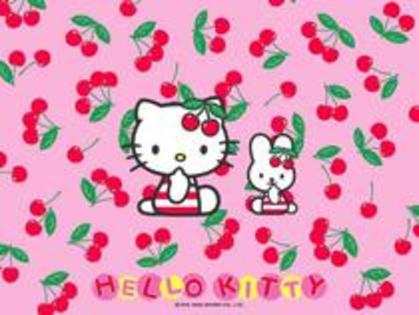 14630103_WSLCQEGTP - hallo kitty