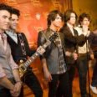 Joe_Jonas_1264191324_2 - poze  jonas