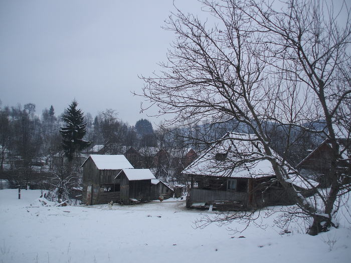 iarna 2011 023 - o    IARNA
