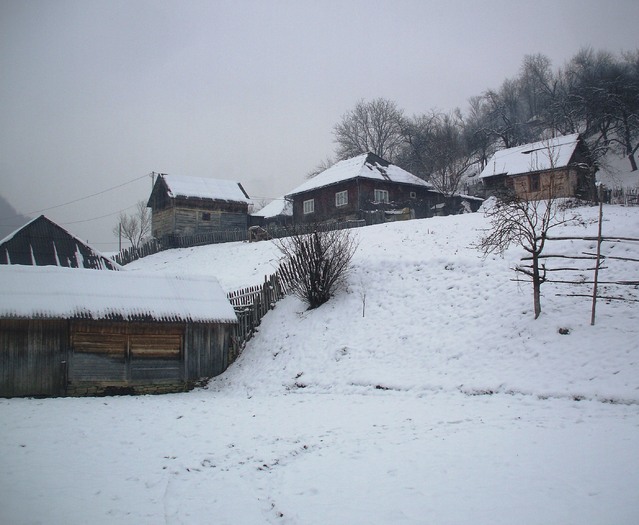 iarna 2011 052 - o    IARNA