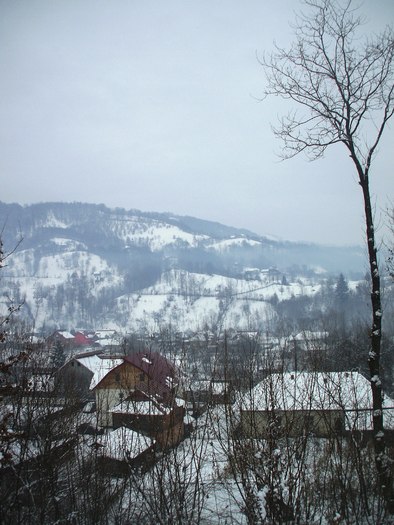 iarna 2011 041