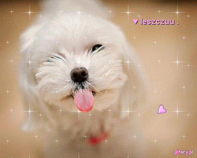 3-glitery_pl-paulinkapaula8-2322