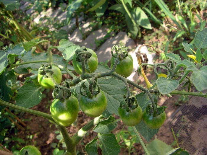 CIMG2680