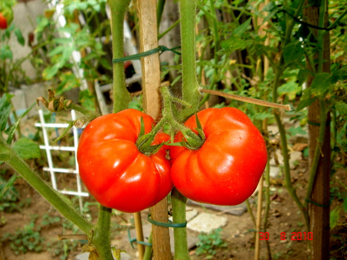 DSC05181
