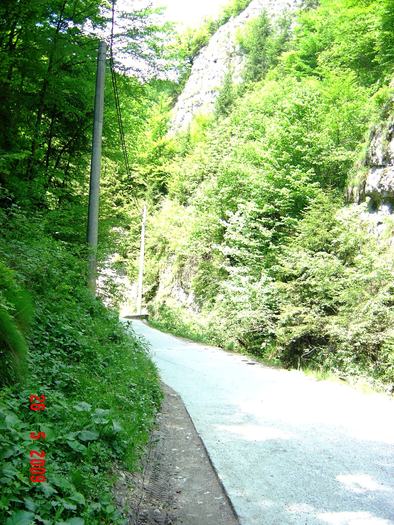DSC03311 - In natura
