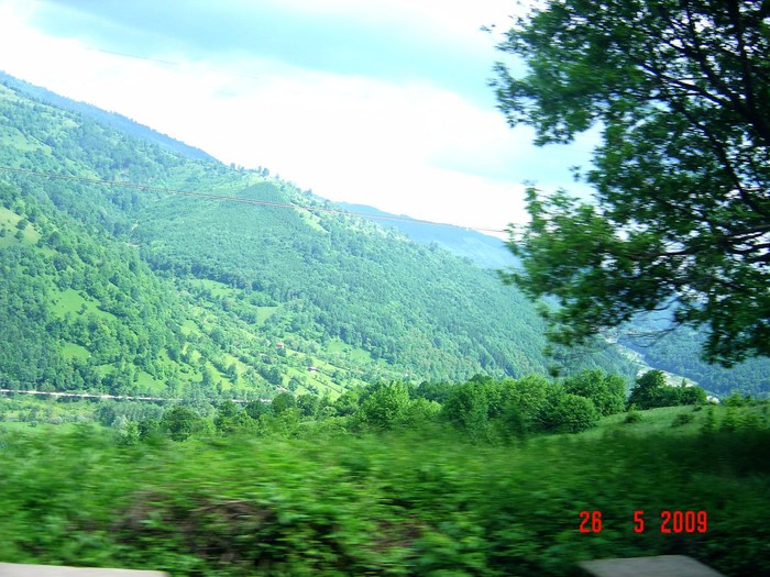 DSC03350 - In natura