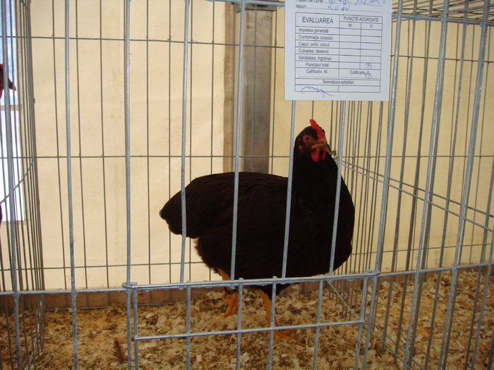 DSC06163