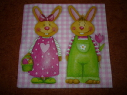 servetele dublura (1)