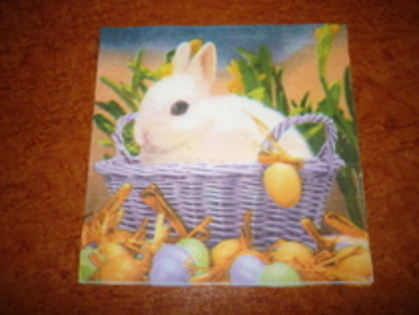 servetele dublura (2)