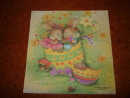 servetele dublura (4)