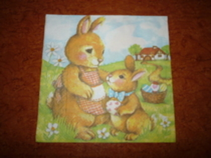 servetele dublura (5)