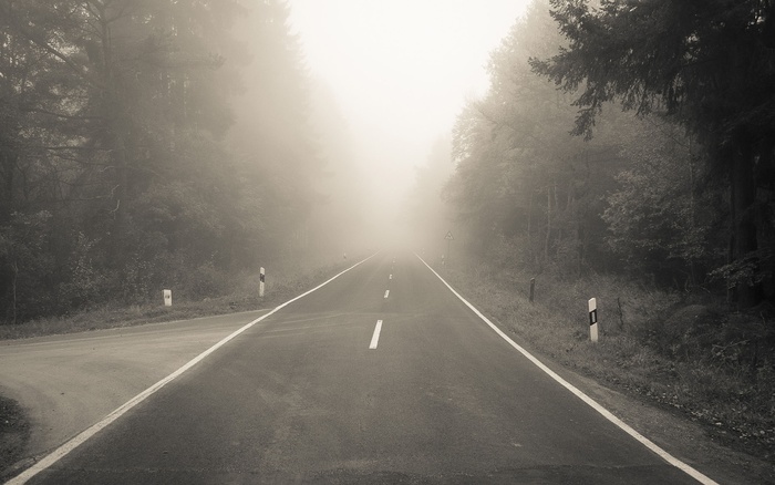 driving-through-the-fog-2560x1600 - Awesome hd