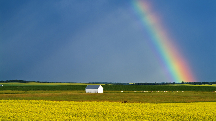 23 - 30 Rainbows and Lightnings Wallpapers