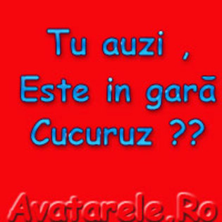 138 - poze diferite avatare