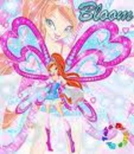 winx 3 - Buna