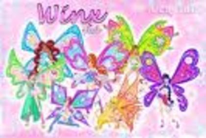 winx 4