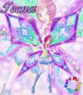 winx 7