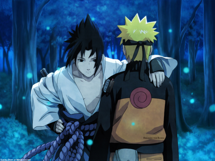 sasuke vs  naruto - sasuke-vs-naruto photo - Naruto vs Sasuke