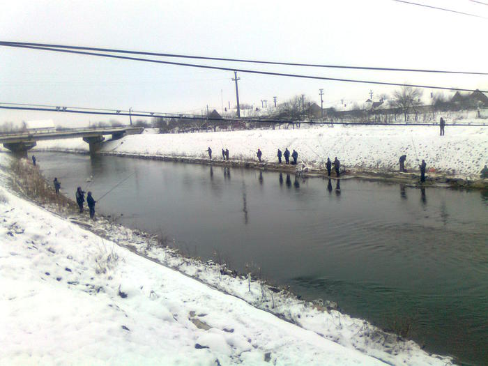 folder gol 021; Ianuarie 2011 Manastiur. Pe Bega, au innebunit scobarii, dar si pescarii...
