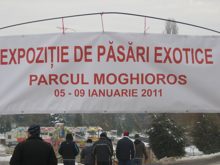  - Bucuresti - Ianuarie 2011