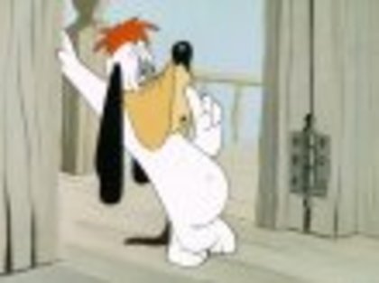 Droopy_mici