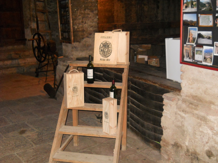 DSCN3052 - excursie in munti