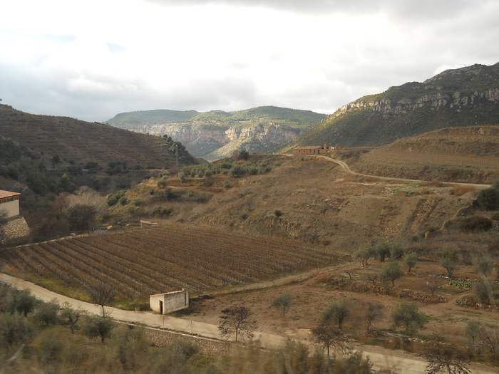 DSCN3065 - excursie in munti