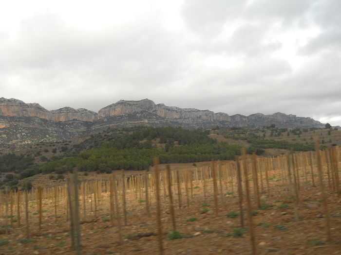 DSCN3067 - excursie in munti