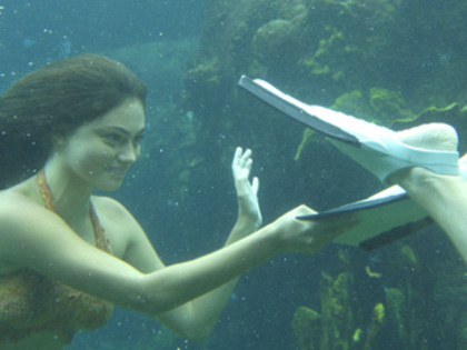 Phoebe (25) - Phoebe Tonkin