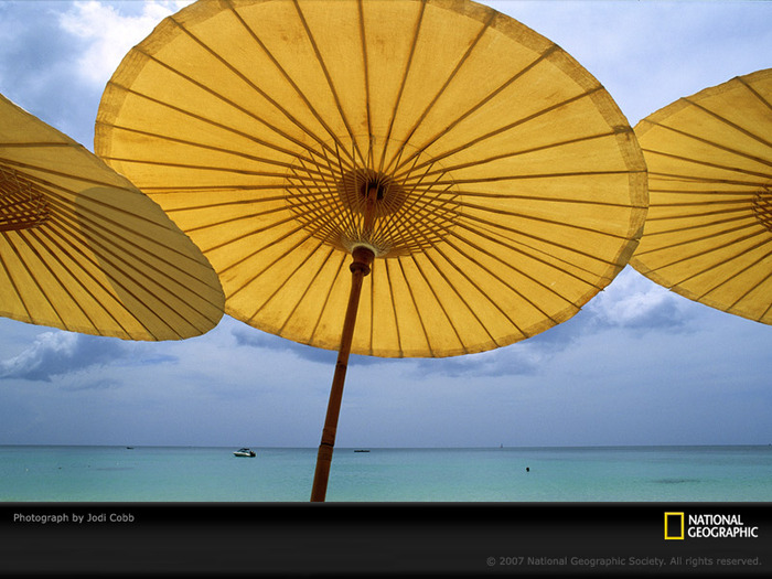 yellow-umbrella-501537-sw - O_o galb3n O_o