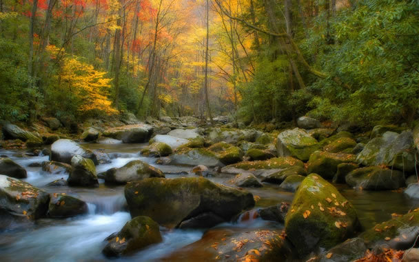 00388_fallintennessee_1920x1200 - XWallpaperX